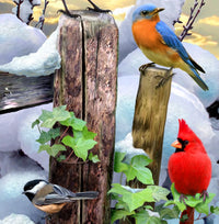Winter Bird Gathering (125 Piece Wooden Jigsaw Puzzle) - Nautilus Puzzles - Wooden Jigsaw Puzzles For Adults