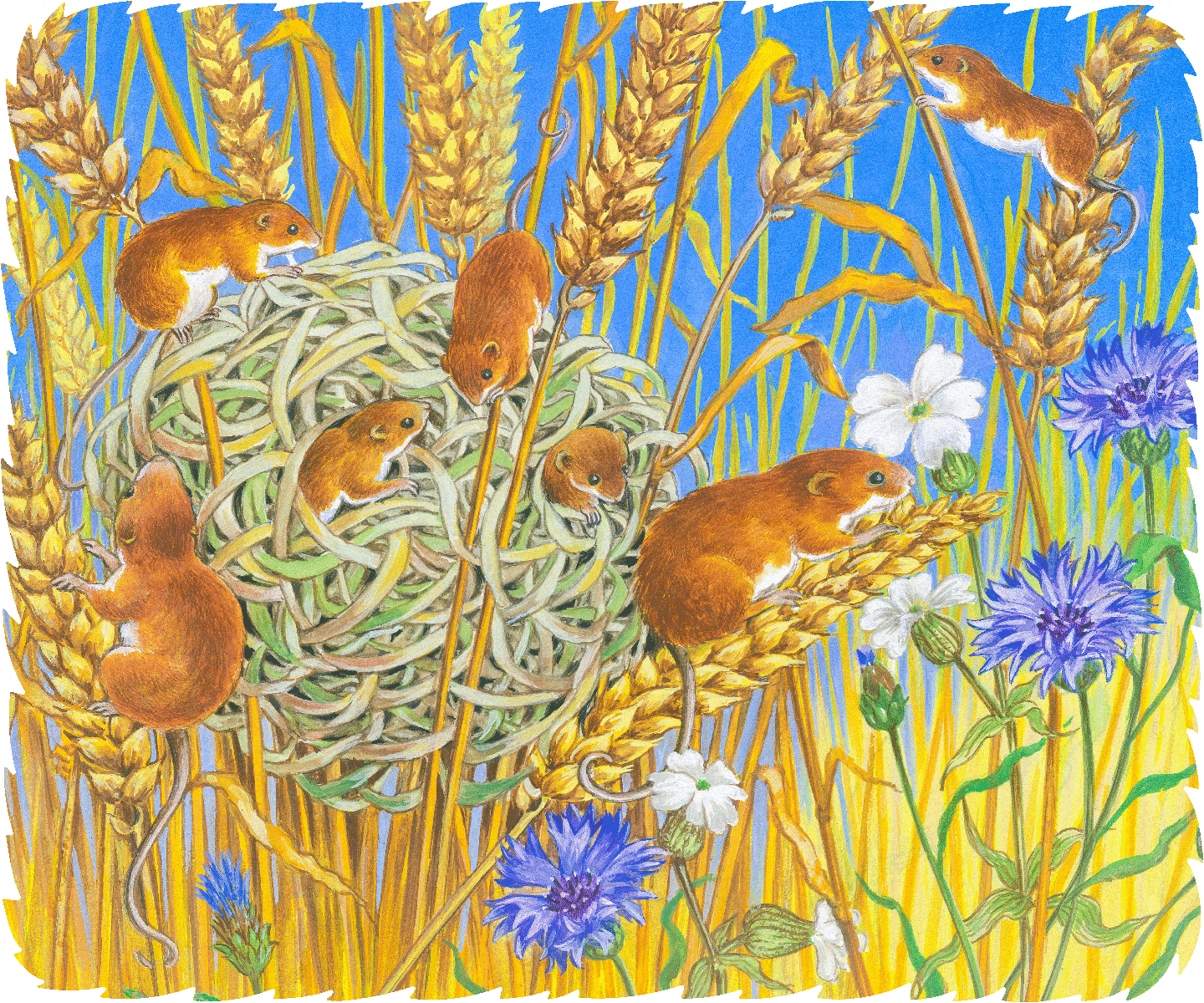 The Summer Nest (50 Piece Wooden Jigsaw Puzzle) - Nautilus Puzzles - Wooden Jigsaw Puzzles For Adults