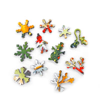 Nautilus Puzzles