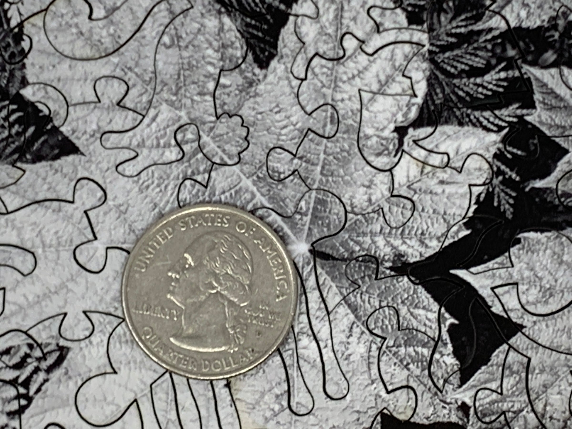 Leaves by Ansel Adams (50 Piece Mini Wooden Jigsaw Puzzle) - Nautilus Puzzles - Wooden Jigsaw Puzzles For Adults