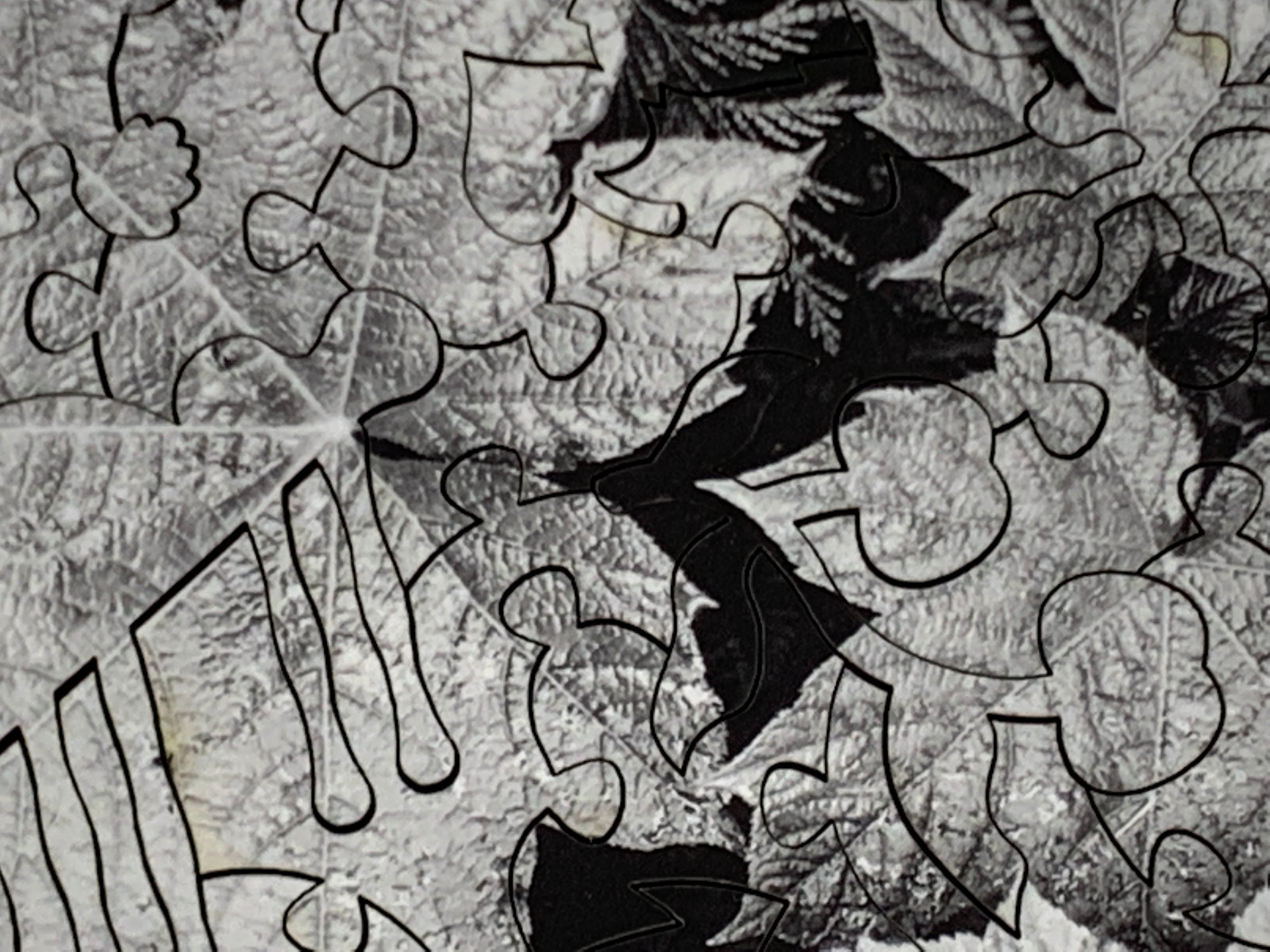 Leaves by Ansel Adams (50 Piece Mini Wooden Jigsaw Puzzle) - Nautilus Puzzles - Wooden Jigsaw Puzzles For Adults