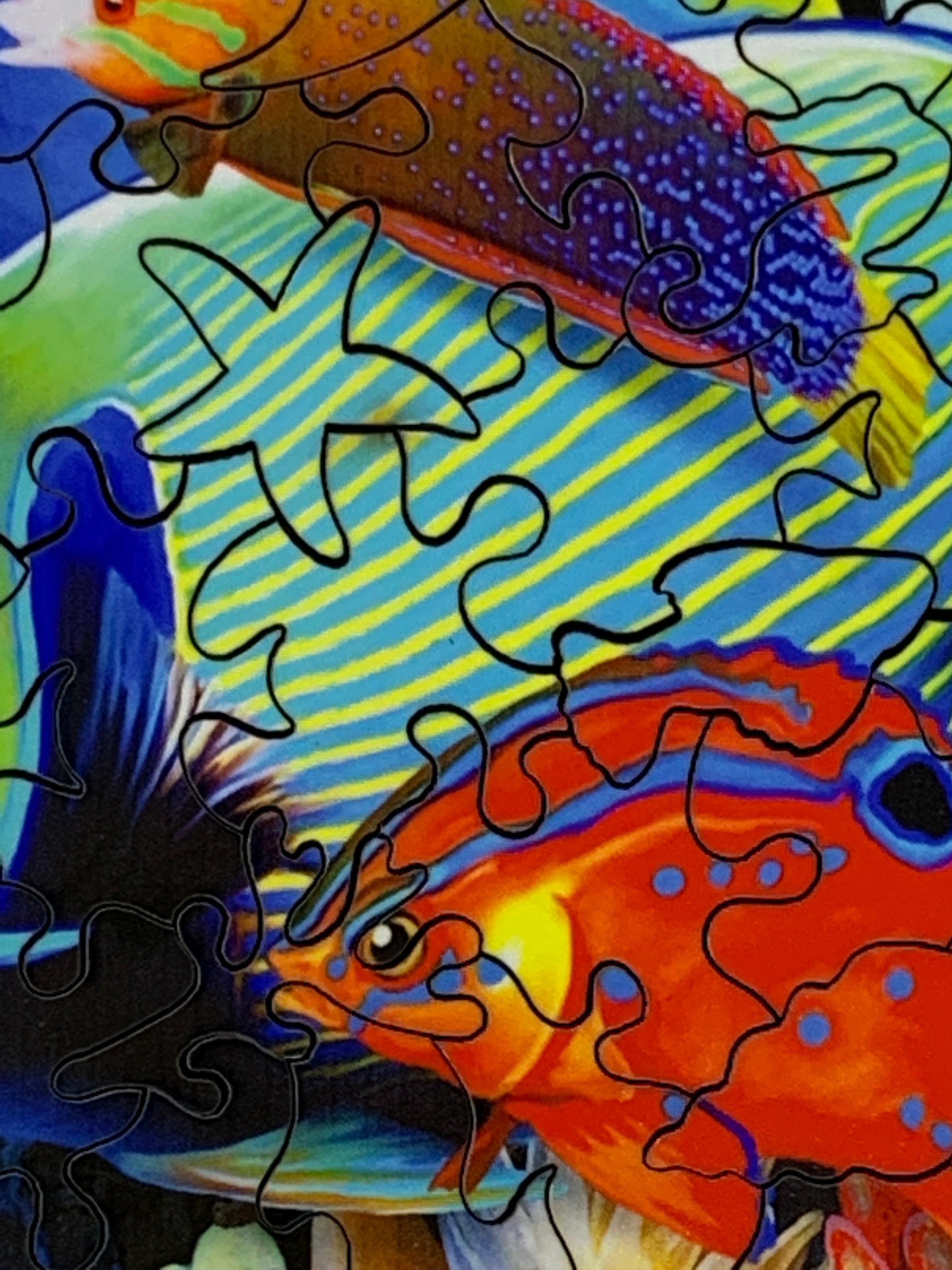 Fish Alive (144 Piece Wooden Jigsaw Puzzle) - Nautilus Puzzles - Wooden Jigsaw Puzzles For Adults