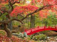 Maple Creek (385 Piece Wooden Jigsaw Puzzle) - Nautilus Puzzles - Wooden Jigsaw Puzzles For Adults