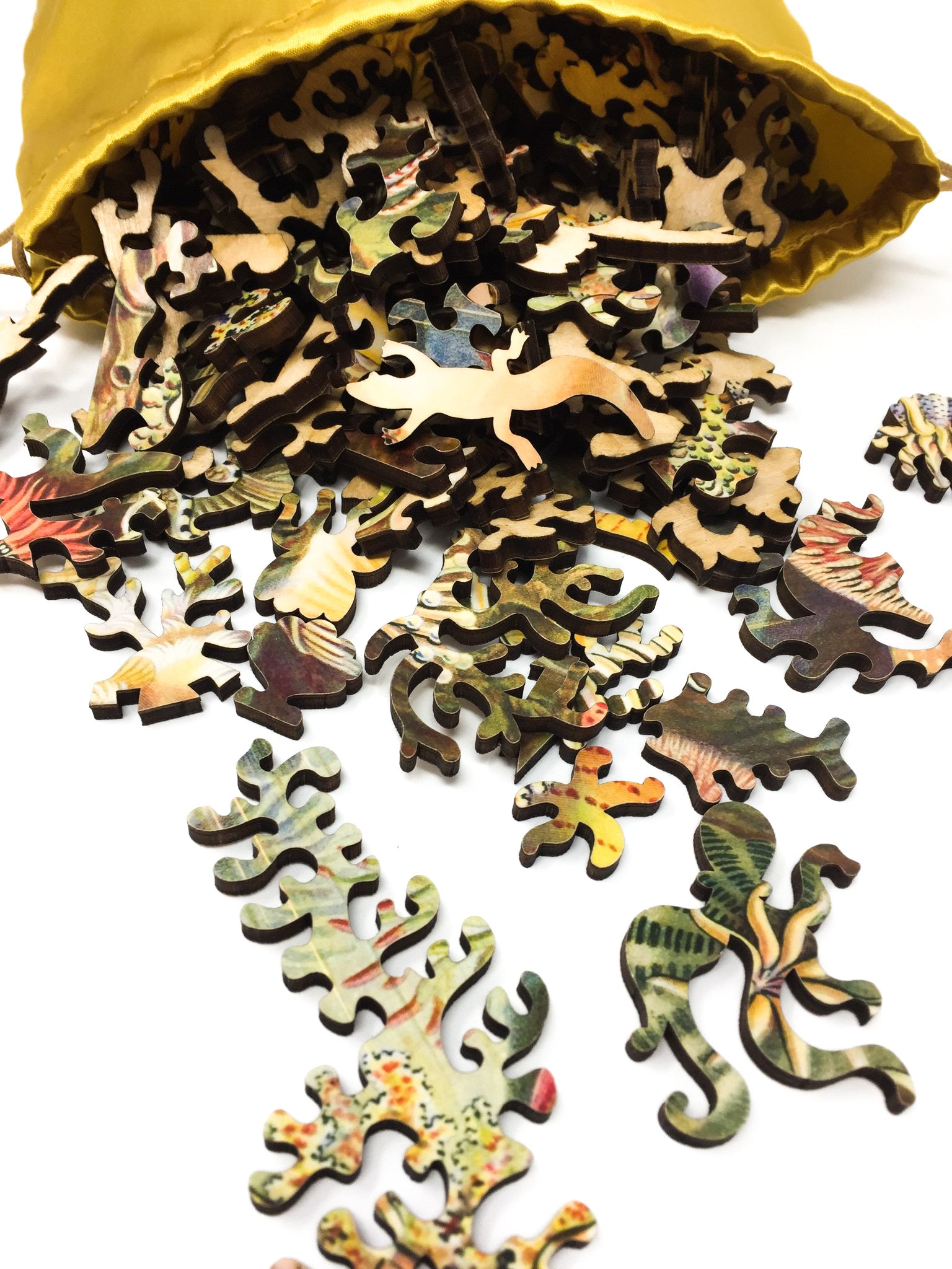 Sea Anemones by Ernst Haeckel - 288 Piece Wooden Jigsaw Puzzle - Nautilus Puzzles - Wooden Jigsaw Puzzles For Adults