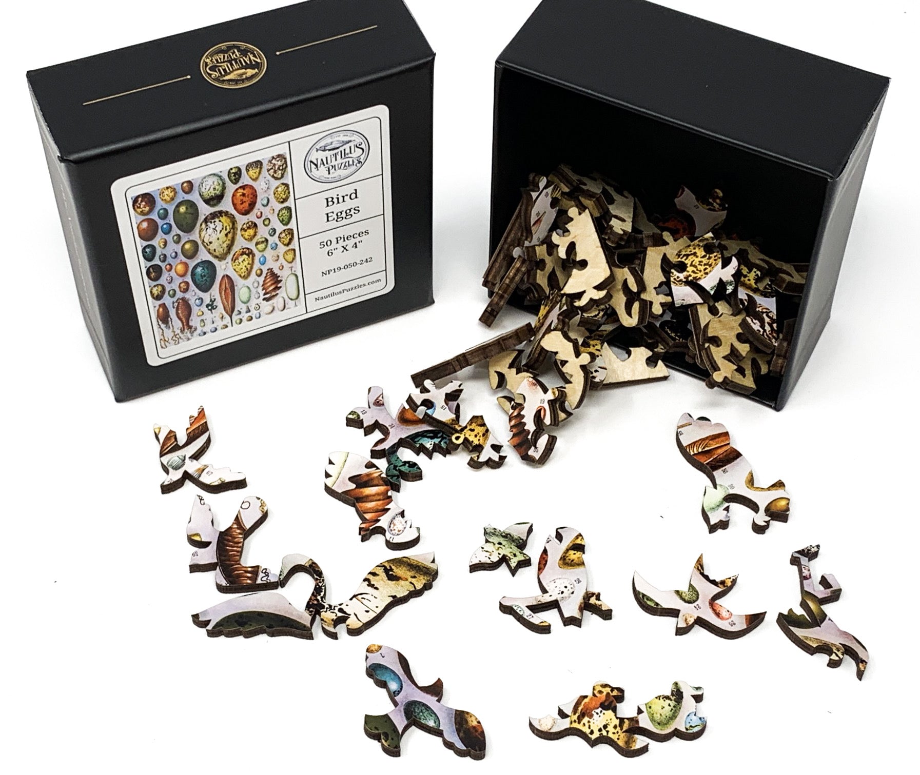 Bird Eggs (50 Piece Mini Wooden Jigsaw Puzzle) - Nautilus Puzzles - Wooden Jigsaw Puzzles For Adults