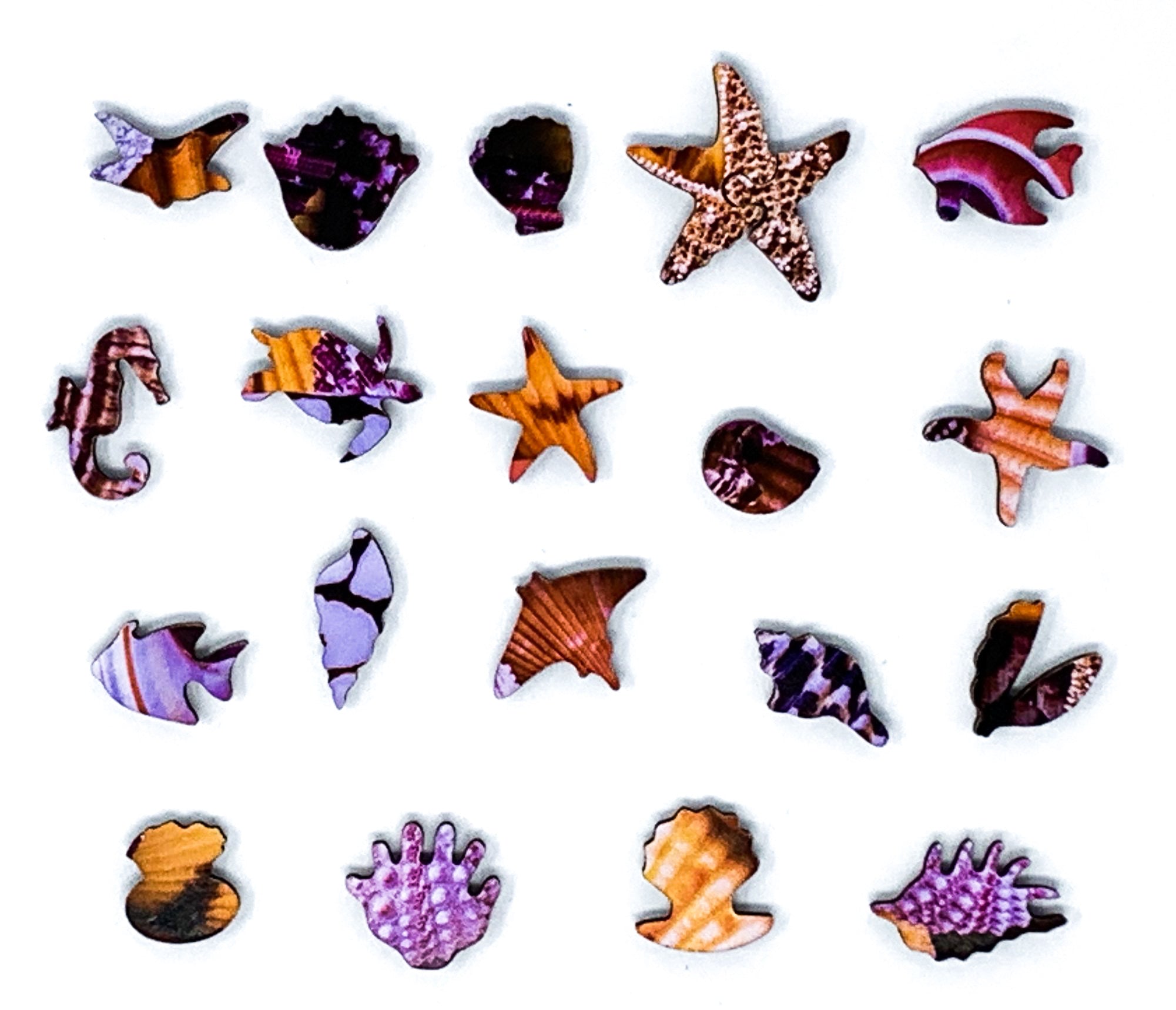 Ocean Treasures (145 Piece Ocean Wooden Jigsaw Puzzle) - Nautilus Puzzles - Wooden Jigsaw Puzzles For Adults