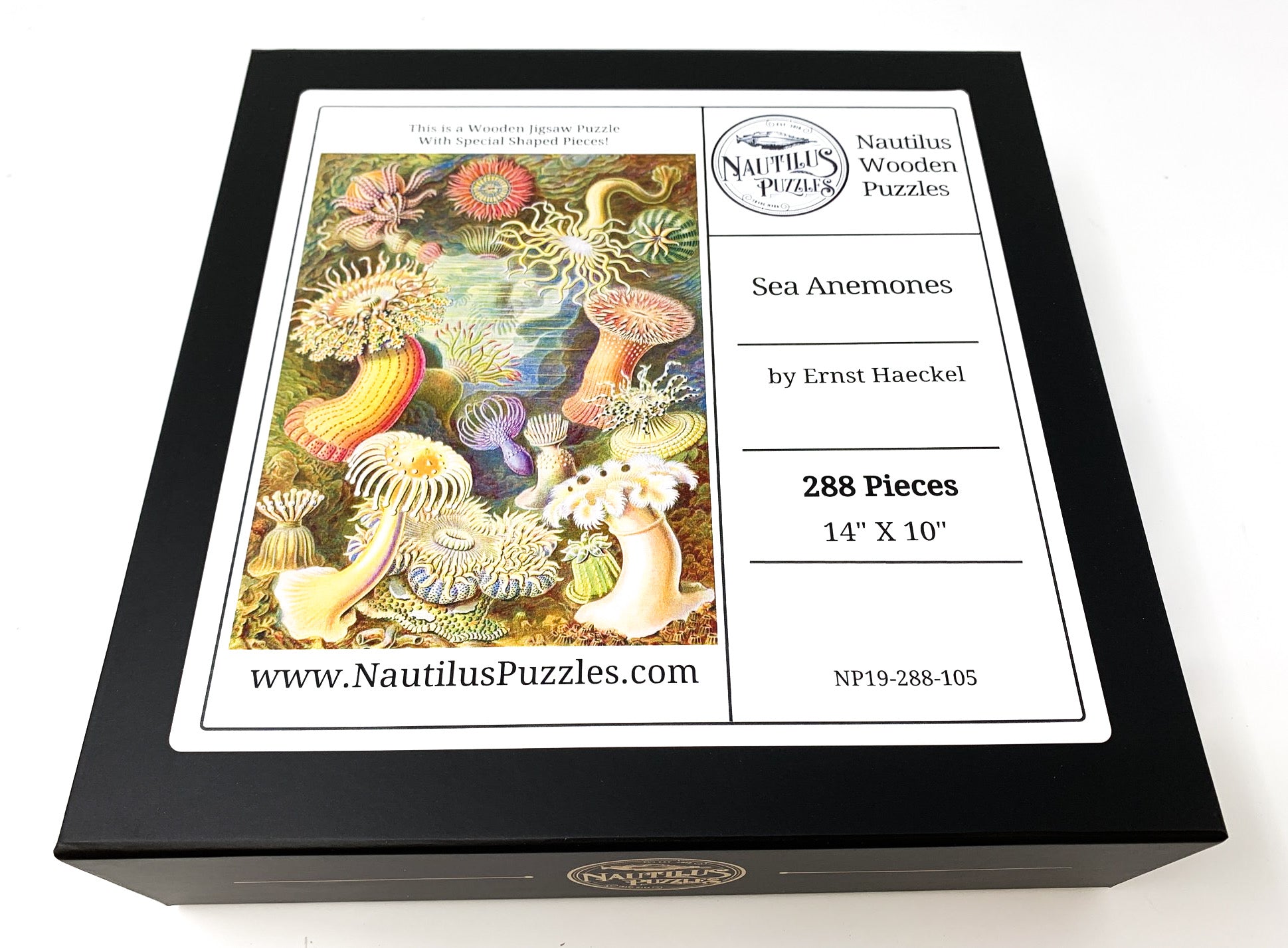 Sea Anemones by Ernst Haeckel - 288 Piece Wooden Jigsaw Puzzle - Nautilus Puzzles - Wooden Jigsaw Puzzles For Adults