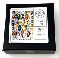 Bird Eggs (50 Piece Mini Wooden Jigsaw Puzzle) - Nautilus Puzzles - Wooden Jigsaw Puzzles For Adults