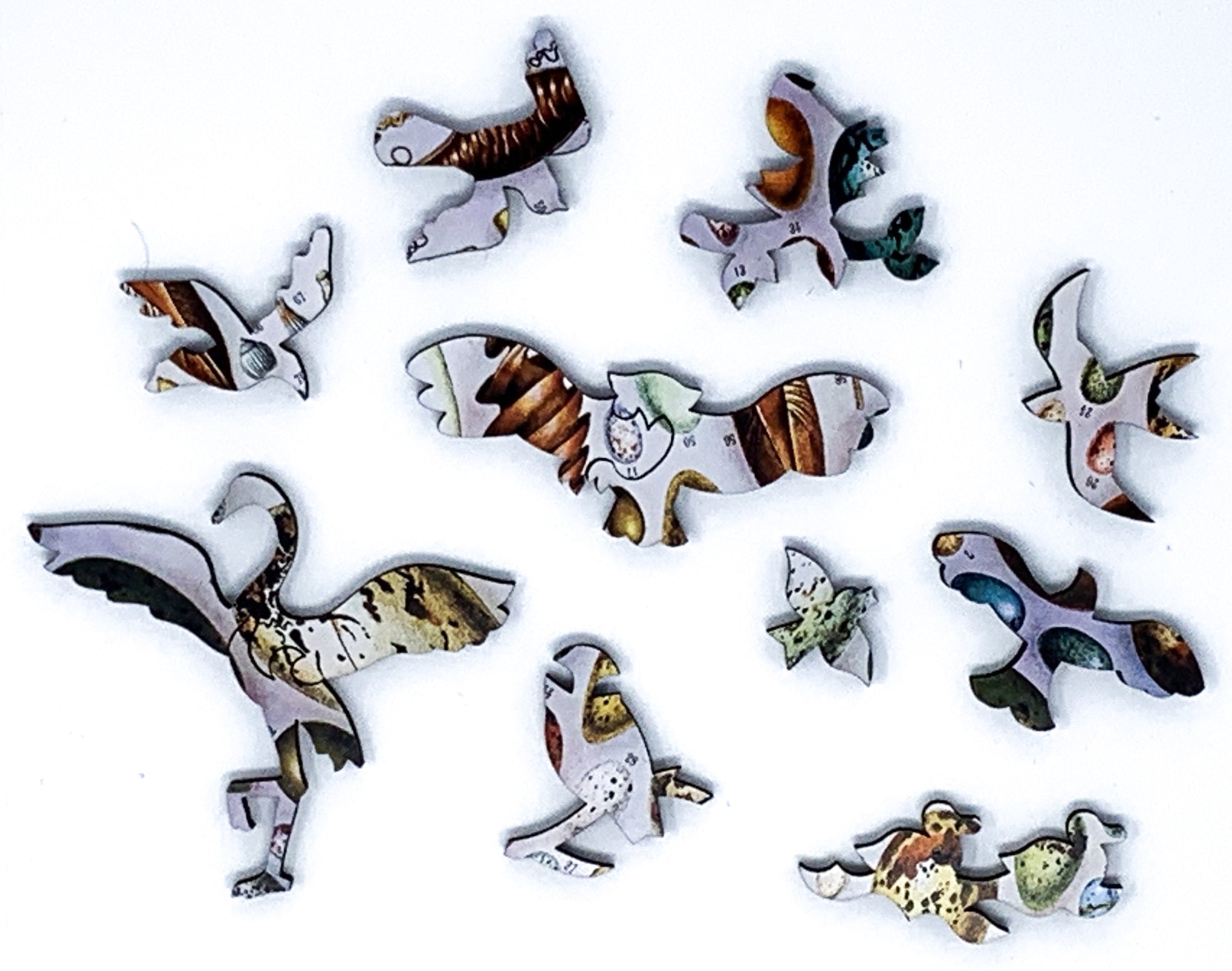 Bird Eggs (50 Piece Mini Wooden Jigsaw Puzzle) - Nautilus Puzzles - Wooden Jigsaw Puzzles For Adults