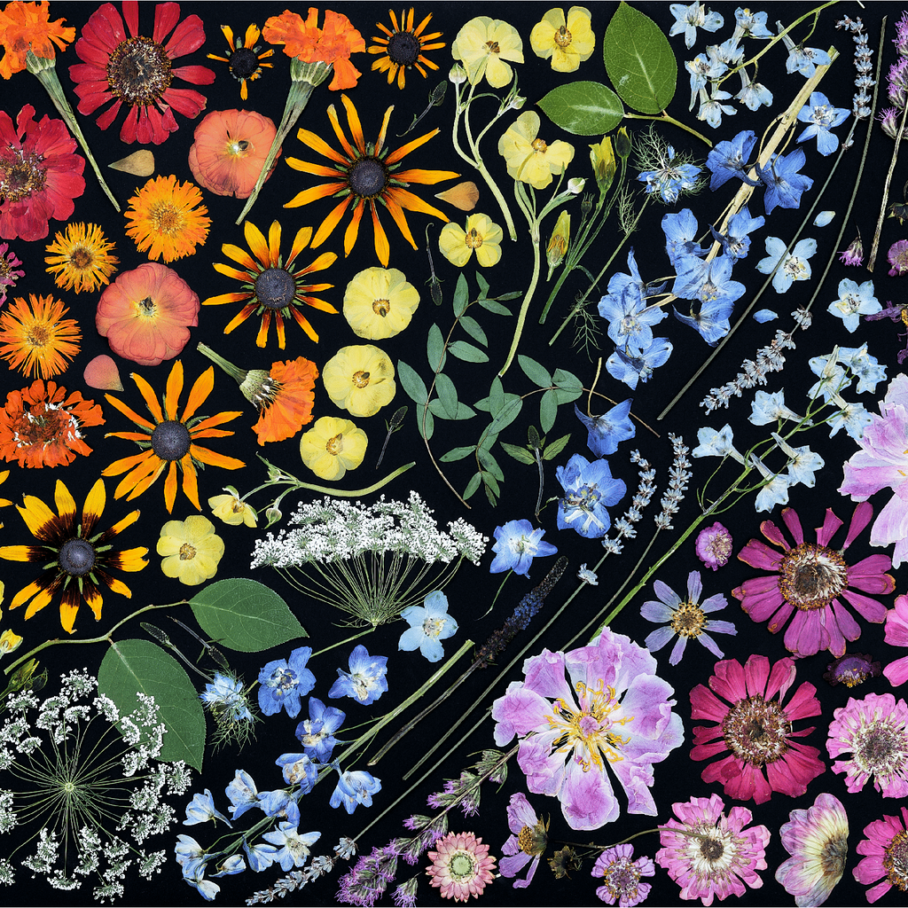 What Type of Wood is Used for Jigsaw Puzzles?