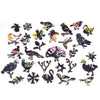 Nautilus Puzzles