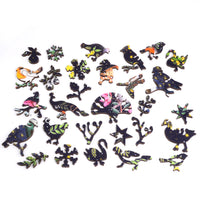 Nautilus Puzzles