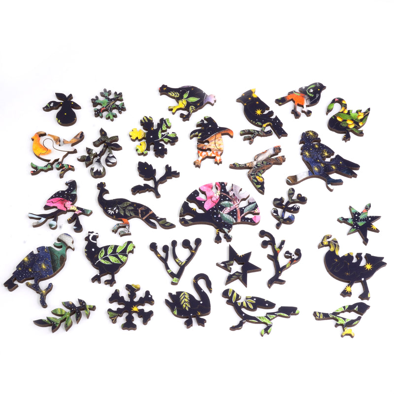 Nautilus Puzzles