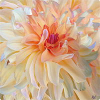 Wooden Jigsaw Puzzle