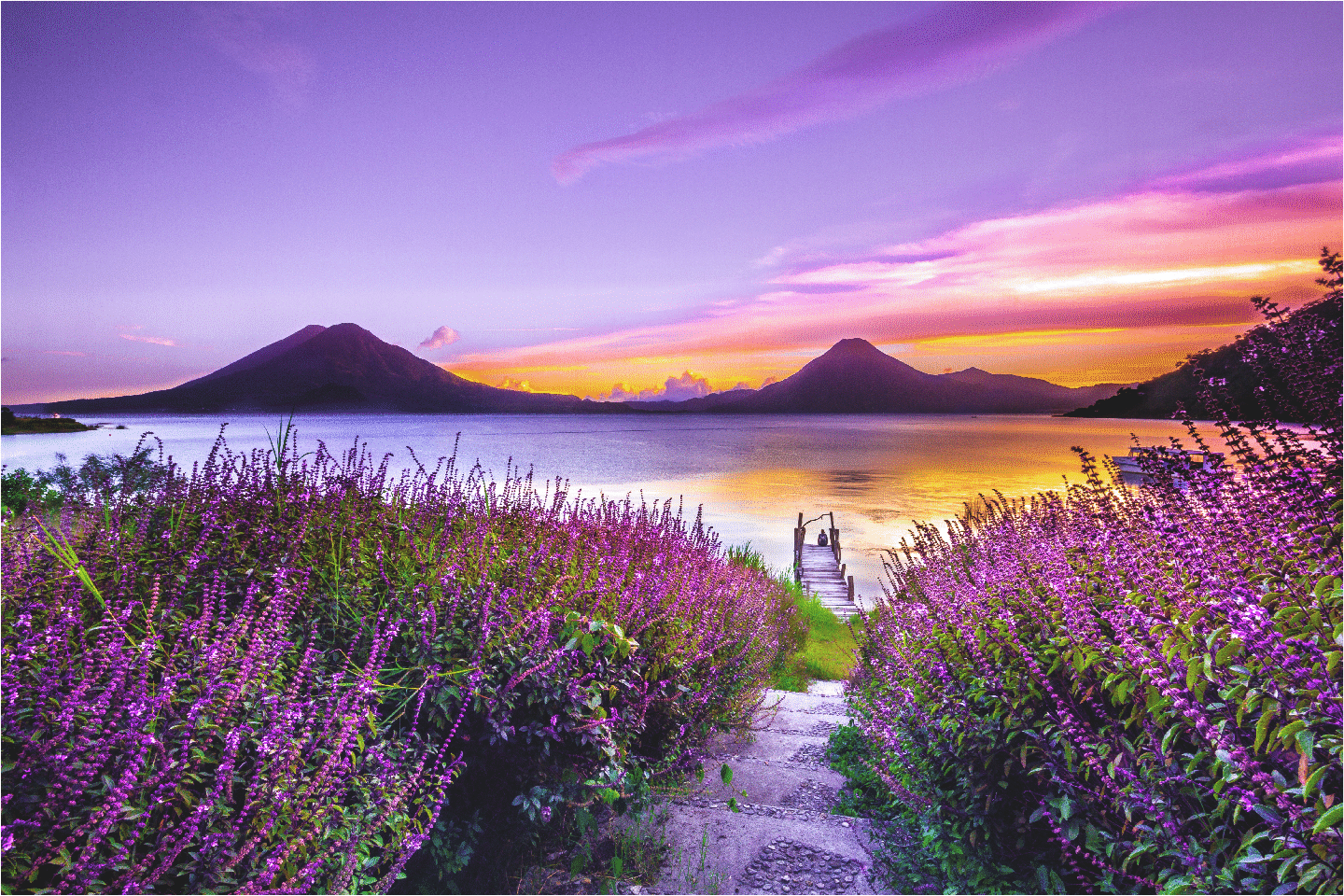 Mini Puzzle | Lavender Lane to the Lake | 69 Pieces