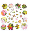 Nautilus Puzzles