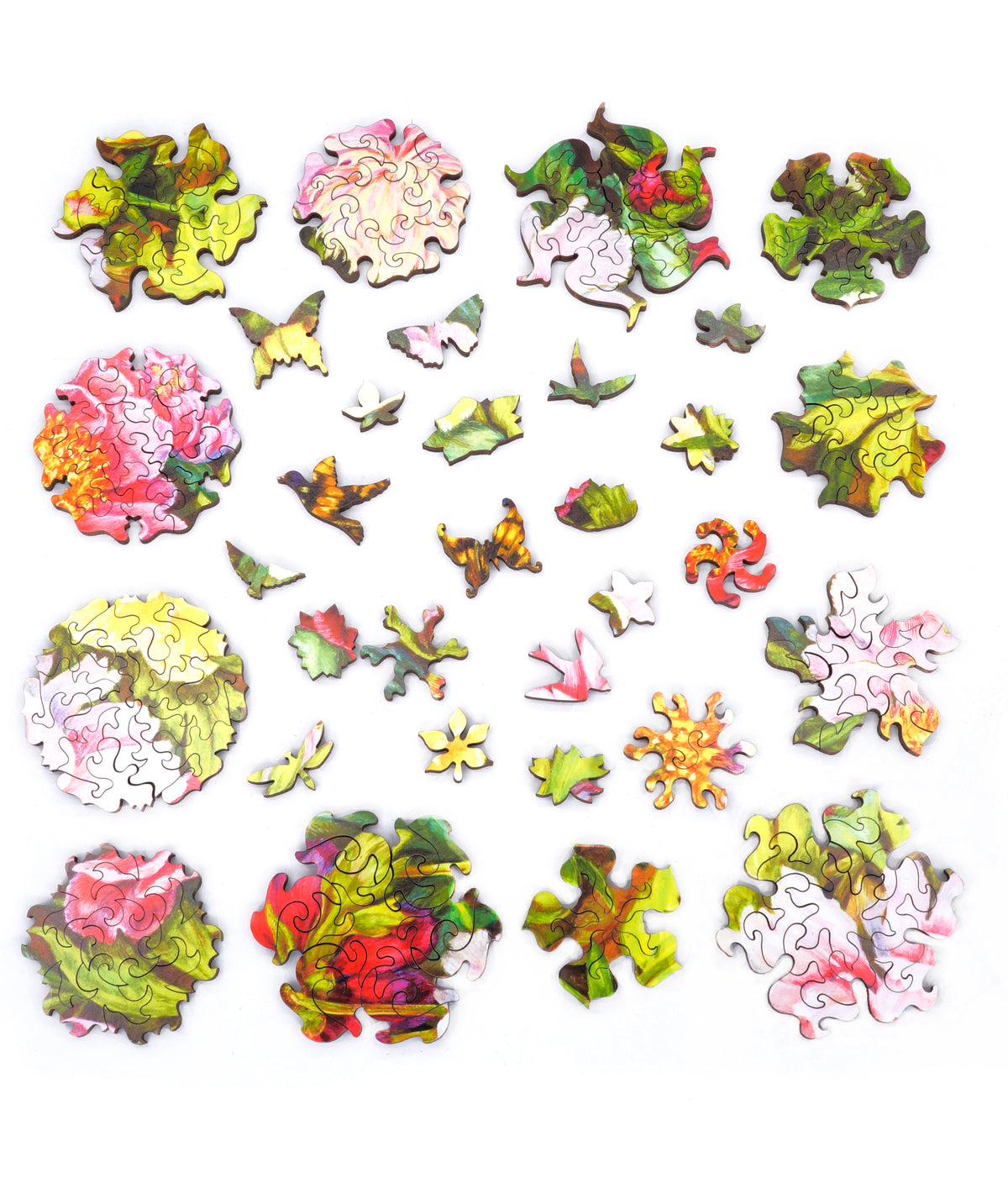 Nautilus Puzzles