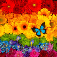 Rainbow Flowers (462 Piece Wooden Jigsaw Puzzle) - Nautilus Puzzles - Wooden Jigsaw Puzzles For Adults