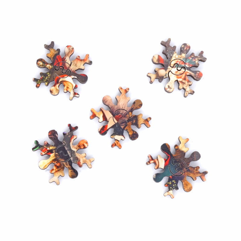 Nautilus Puzzles