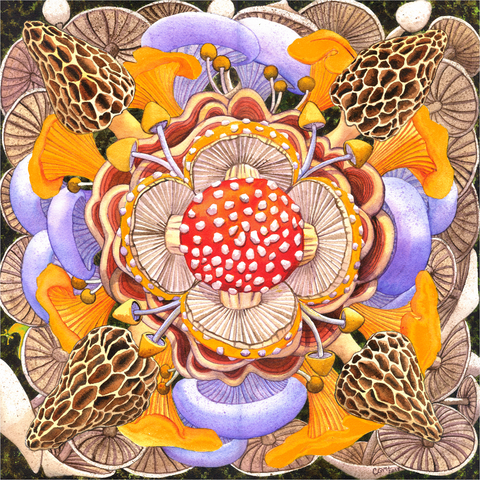 Mushroom Mandala (201 Piece Wooden Jigsaw Puzzle)