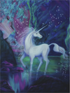 Unicorn Puzzle