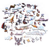 Puzzles for adults