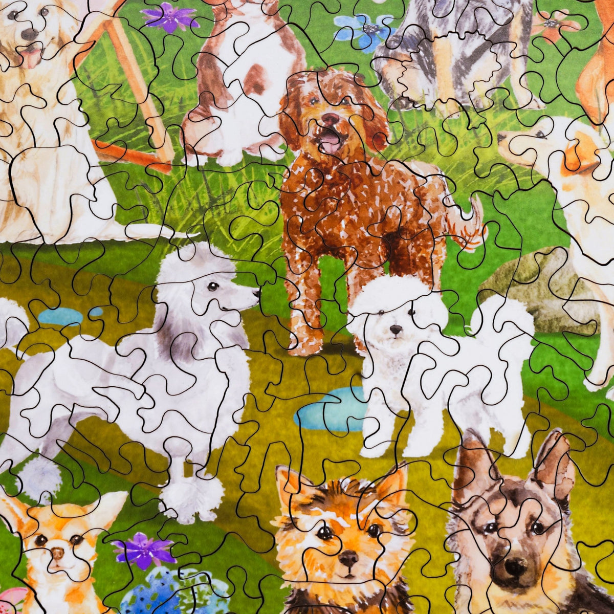 At The Dog Park (500 Piece Wooden Jigsaw Puzzle) - Nautilus Puzzles - Wooden Jigsaw Puzzles For Adults