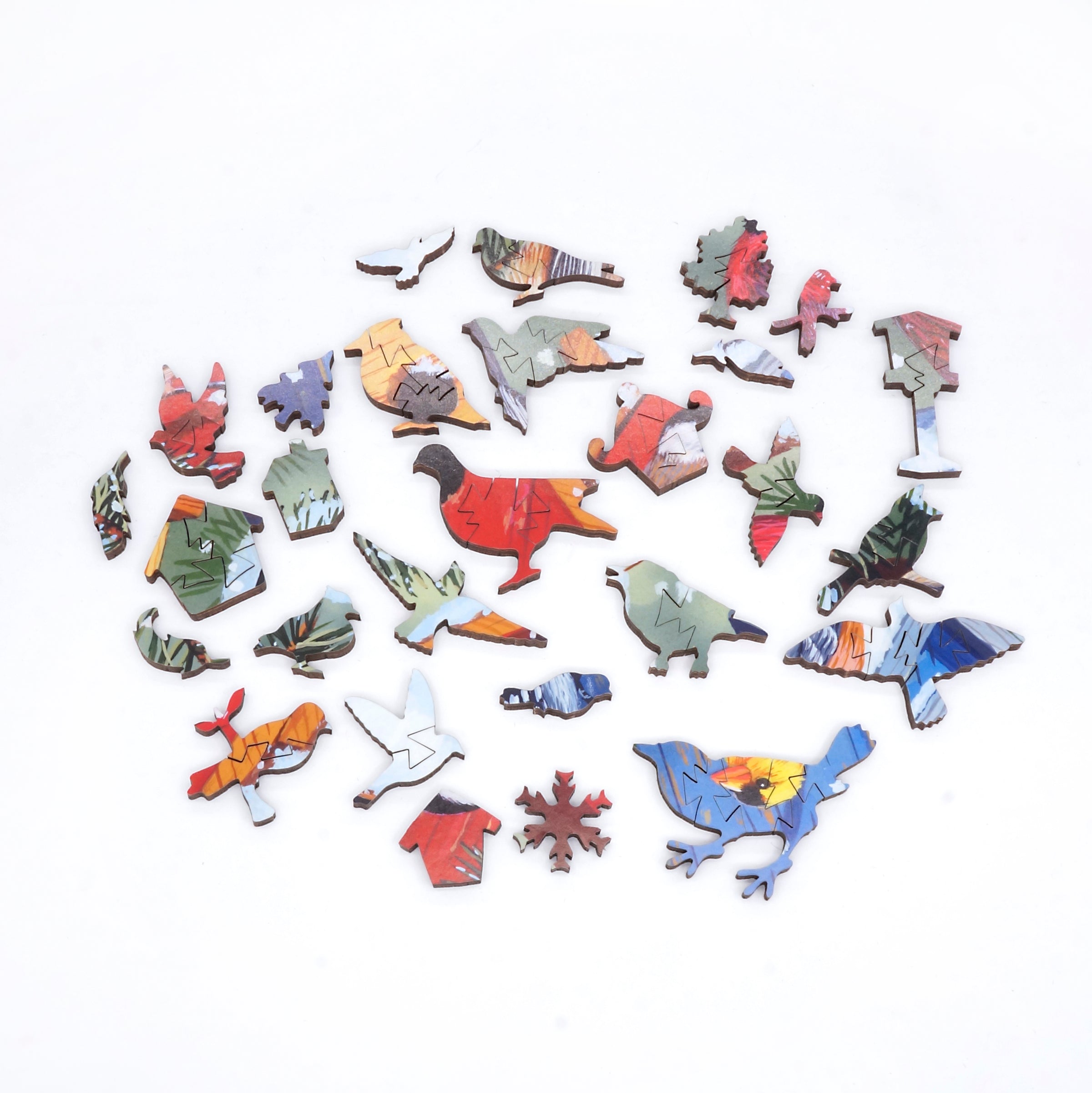 Nautilus Puzzles