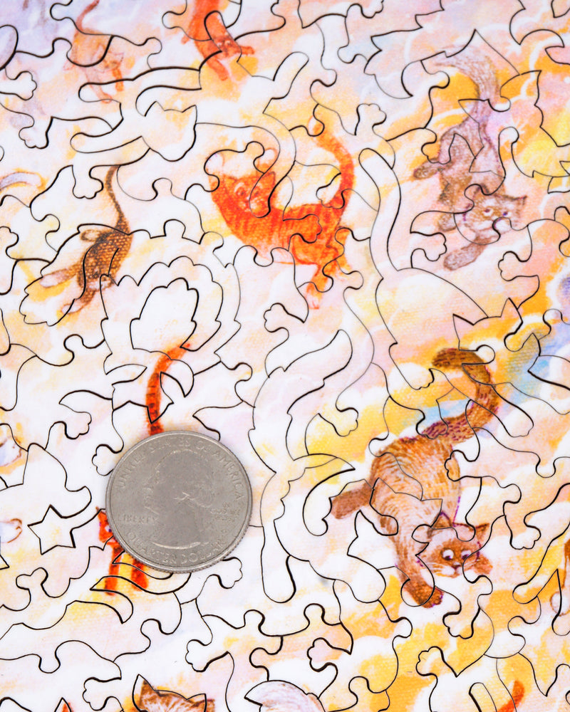 Nautilus Puzzles