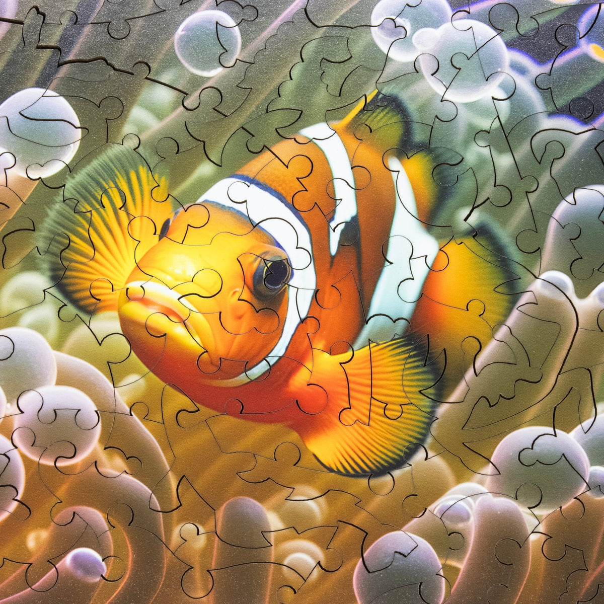 Clowning Around (66 Piece Mini Ocean Wooden Jigsaw Puzzle) - Nautilus Puzzles - Wooden Jigsaw Puzzles For Adults