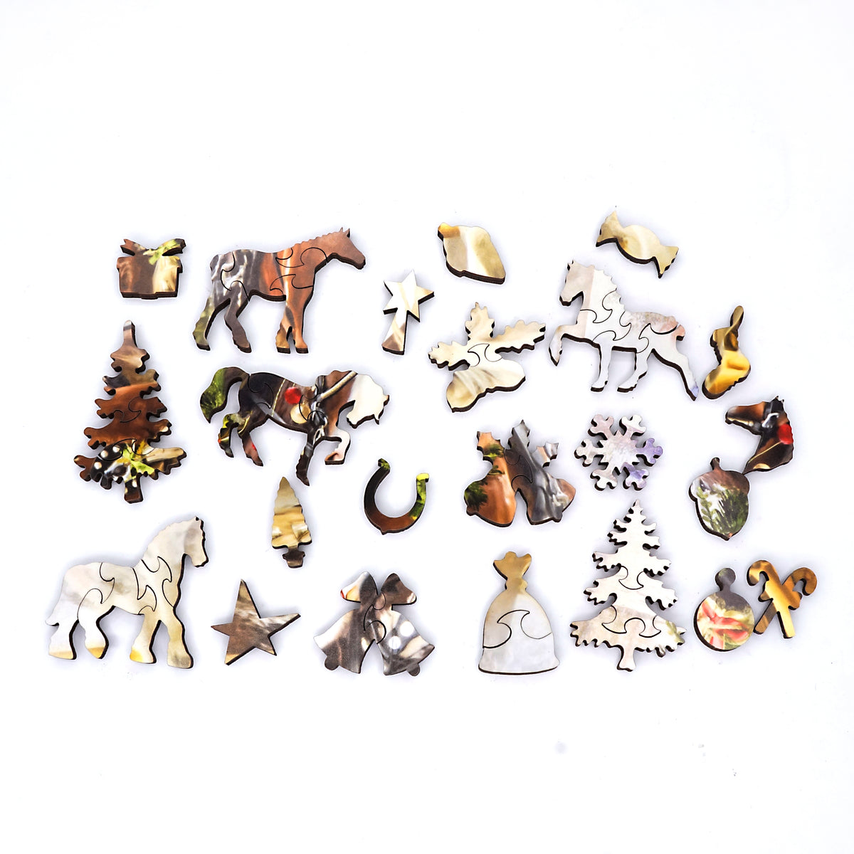 Nautilus Puzzles