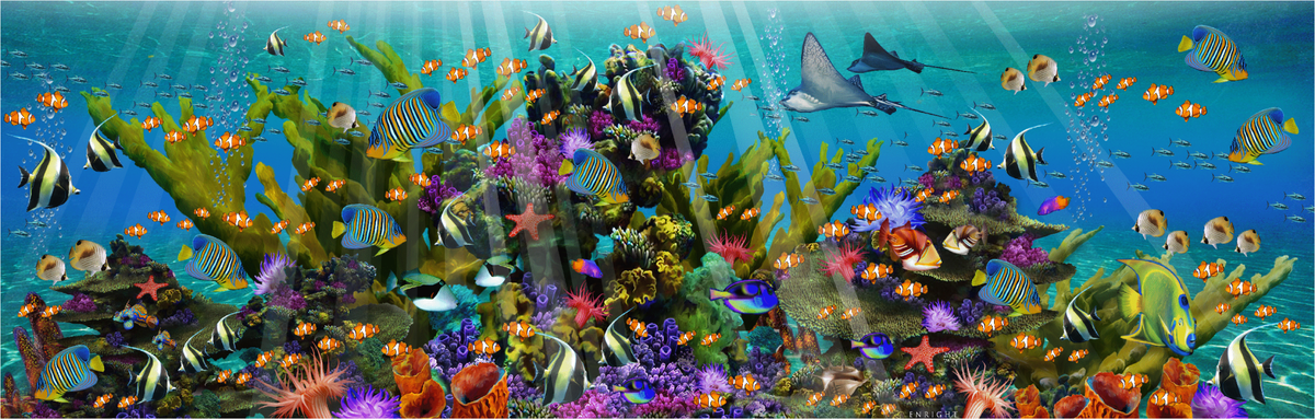 Colorful Coral Kingdom (505 Piece Wooden Jigsaw Puzzle) - Nautilus Puzzles - Wooden Jigsaw Puzzles For Adults