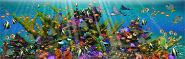 Colorful Coral Kingdom (505 Piece Wooden Jigsaw Puzzle) - Nautilus Puzzles - Wooden Jigsaw Puzzles For Adults
