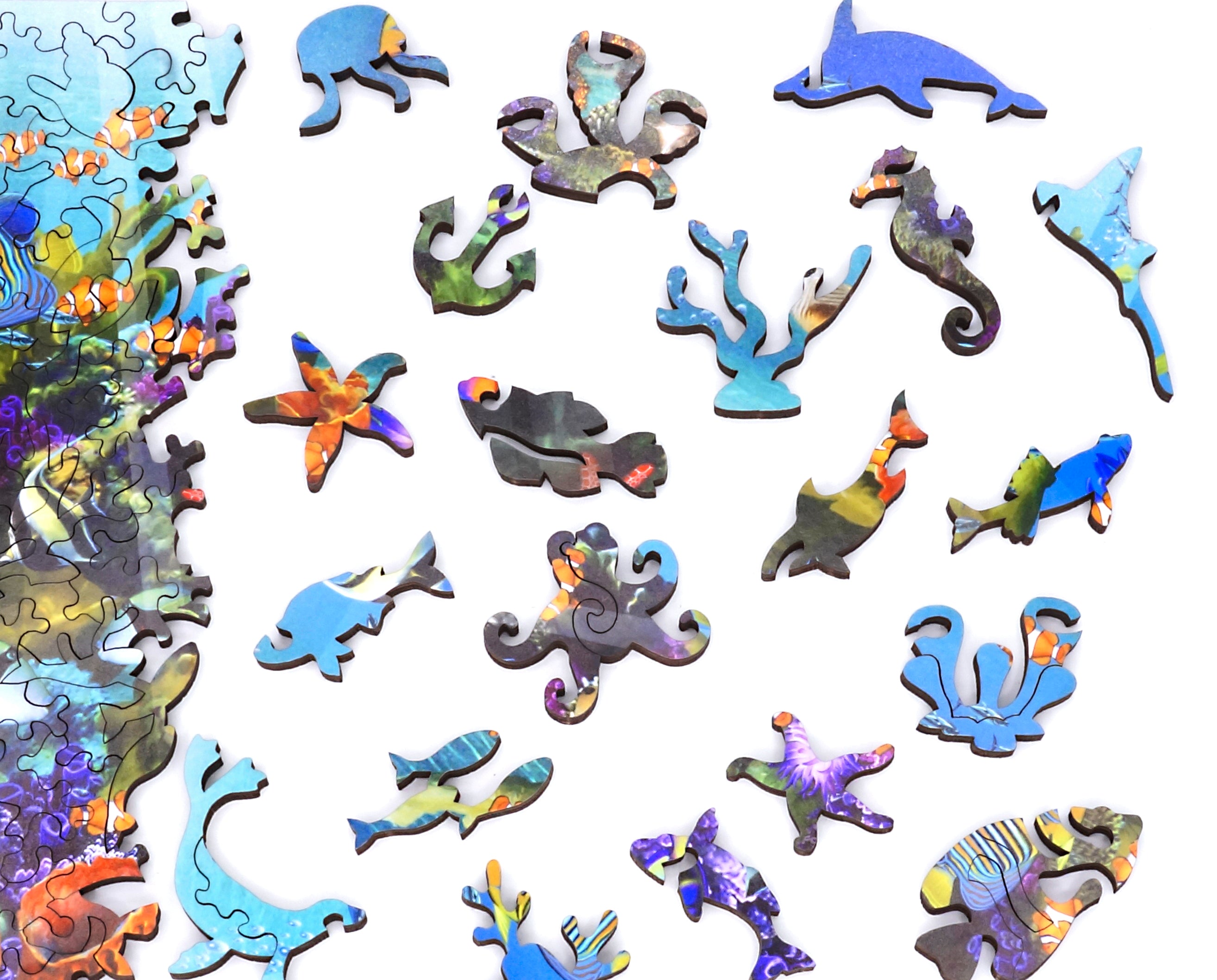 Colorful Coral Kingdom (505 Piece Wooden Jigsaw Puzzle) | Nautilus