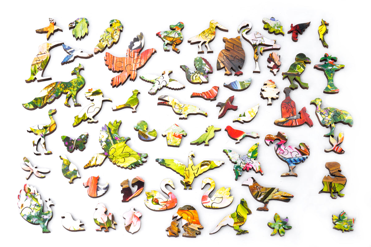  Nautilus Puzzles 