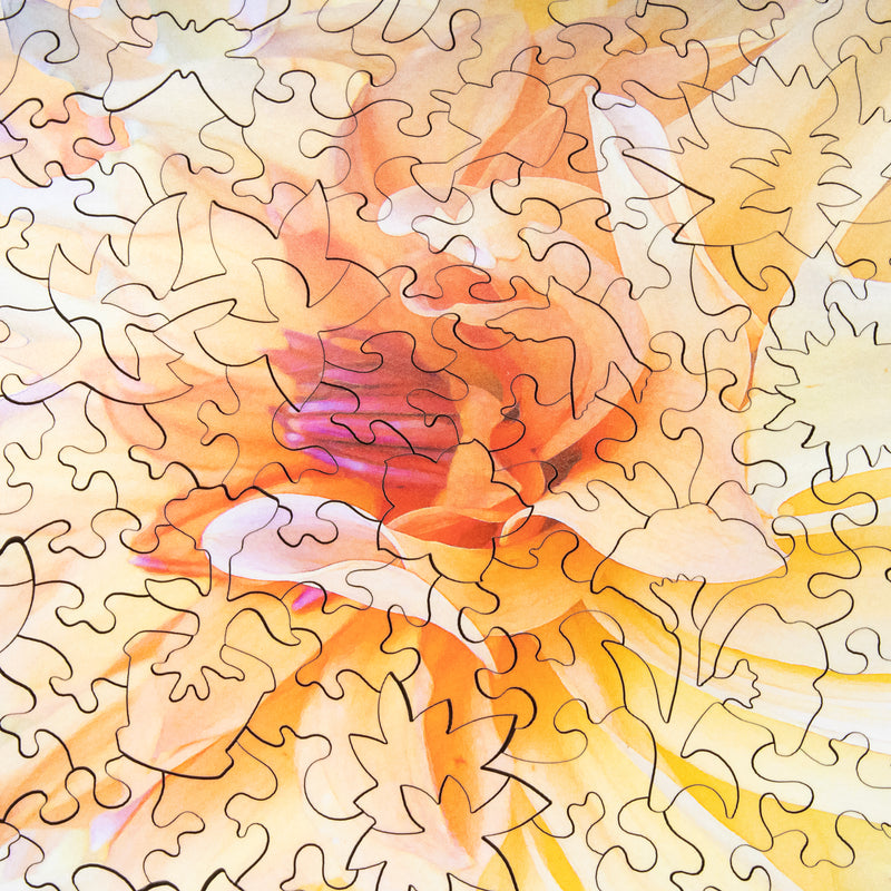 puzzles for adults