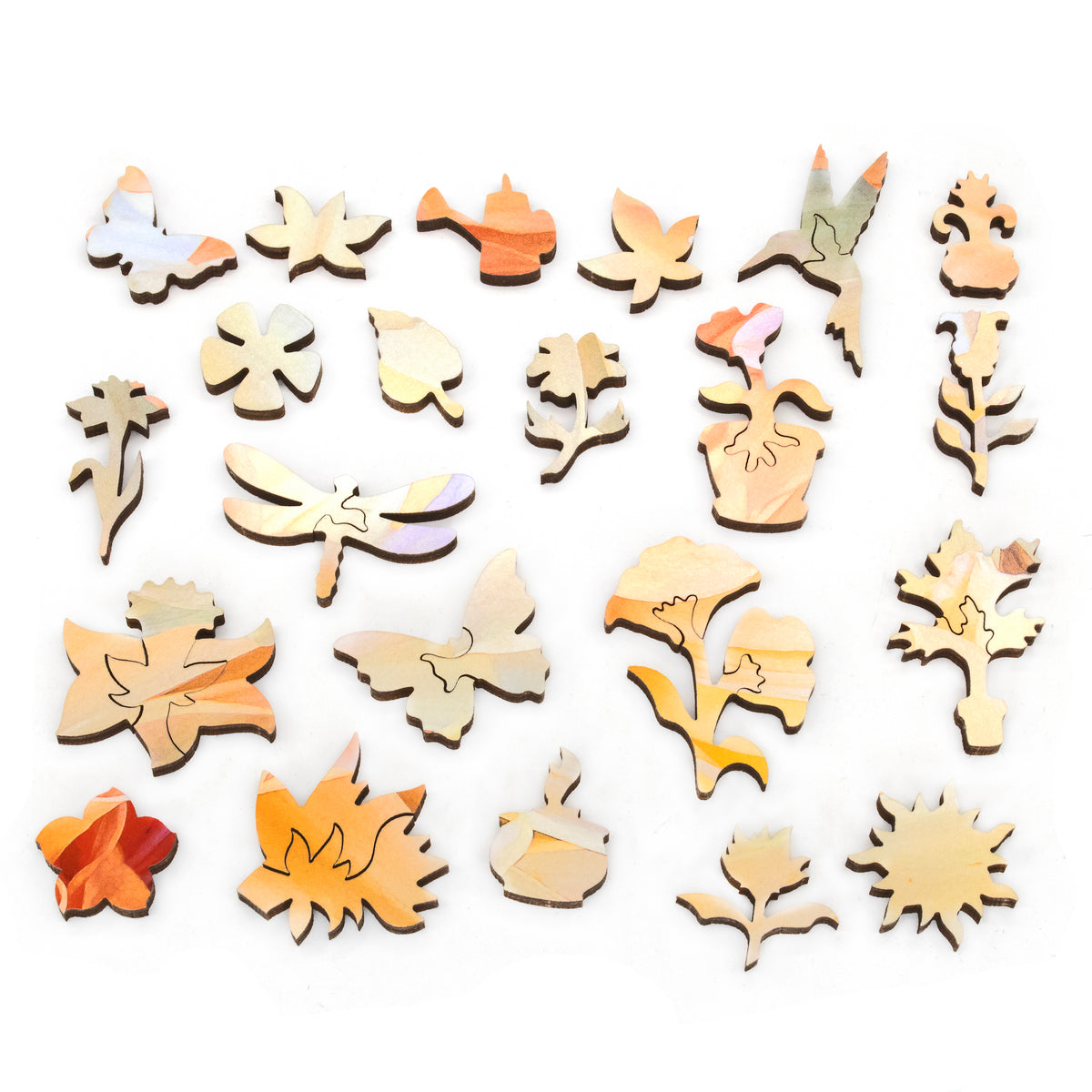 Nautilus Puzzles