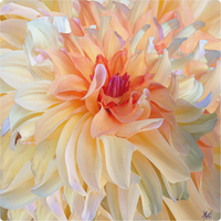 Dancing Dahlia (250 Piece Wooden Jigsaw Puzzle) - Nautilus Puzzles - Wooden Jigsaw Puzzles For Adults