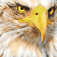 Eagle Eye - 202 Piece Puzzle - Nautilus Puzzles - Wooden Jigsaw Puzzles For Adults