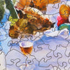 Nautilus Puzzles