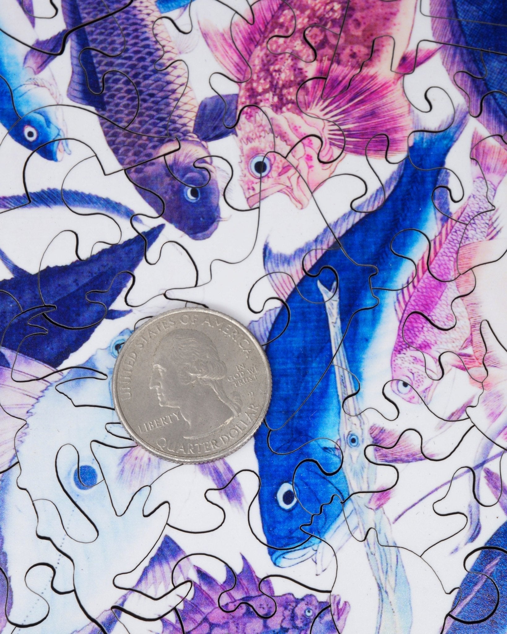 Eighty-Eight Fish (200 Piece Wooden Jigsaw Puzzle) - Nautilus Puzzles - Wooden Jigsaw Puzzles For Adults