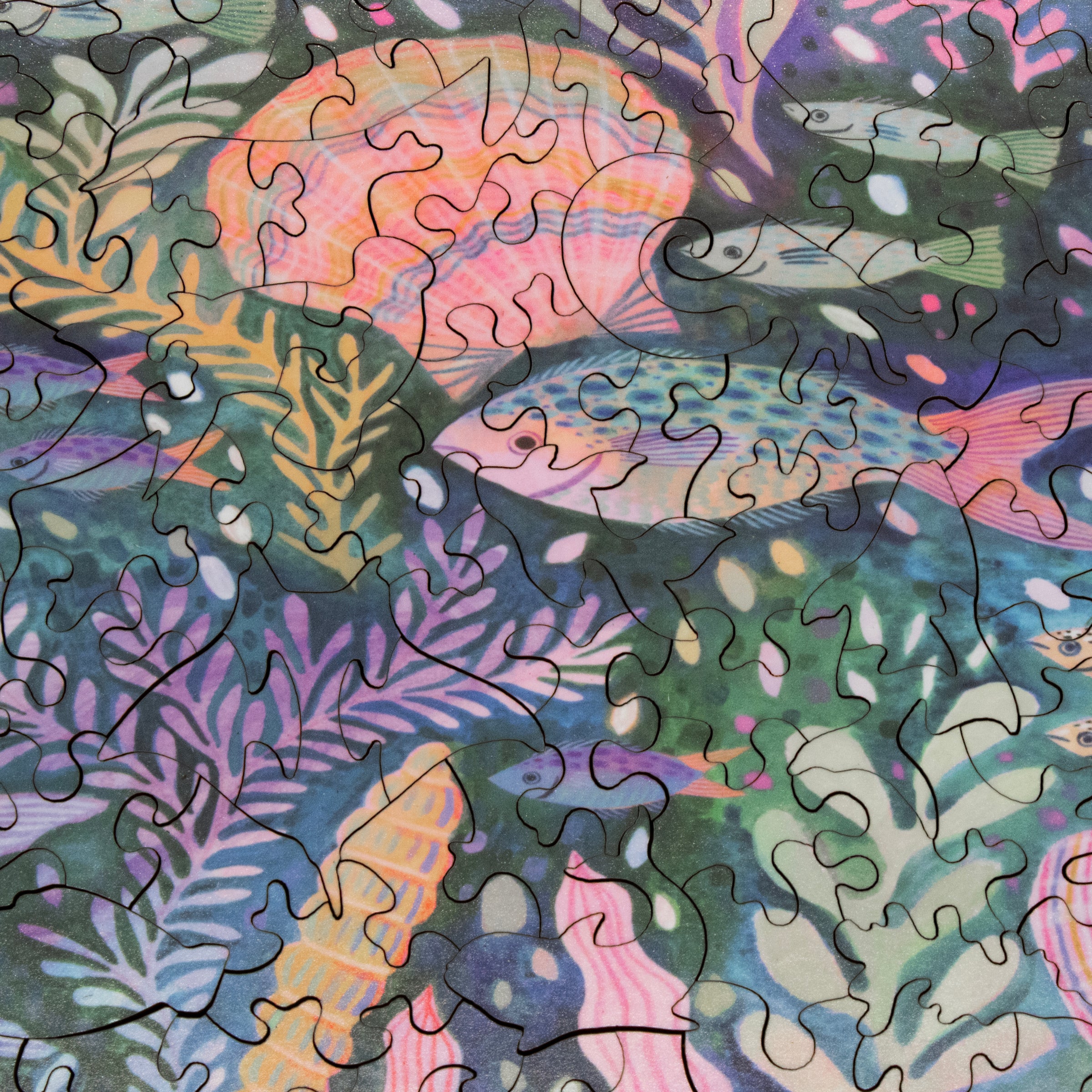 250-Piece Puzzle: Fishy Frenzy (250 Wooden Pieces)