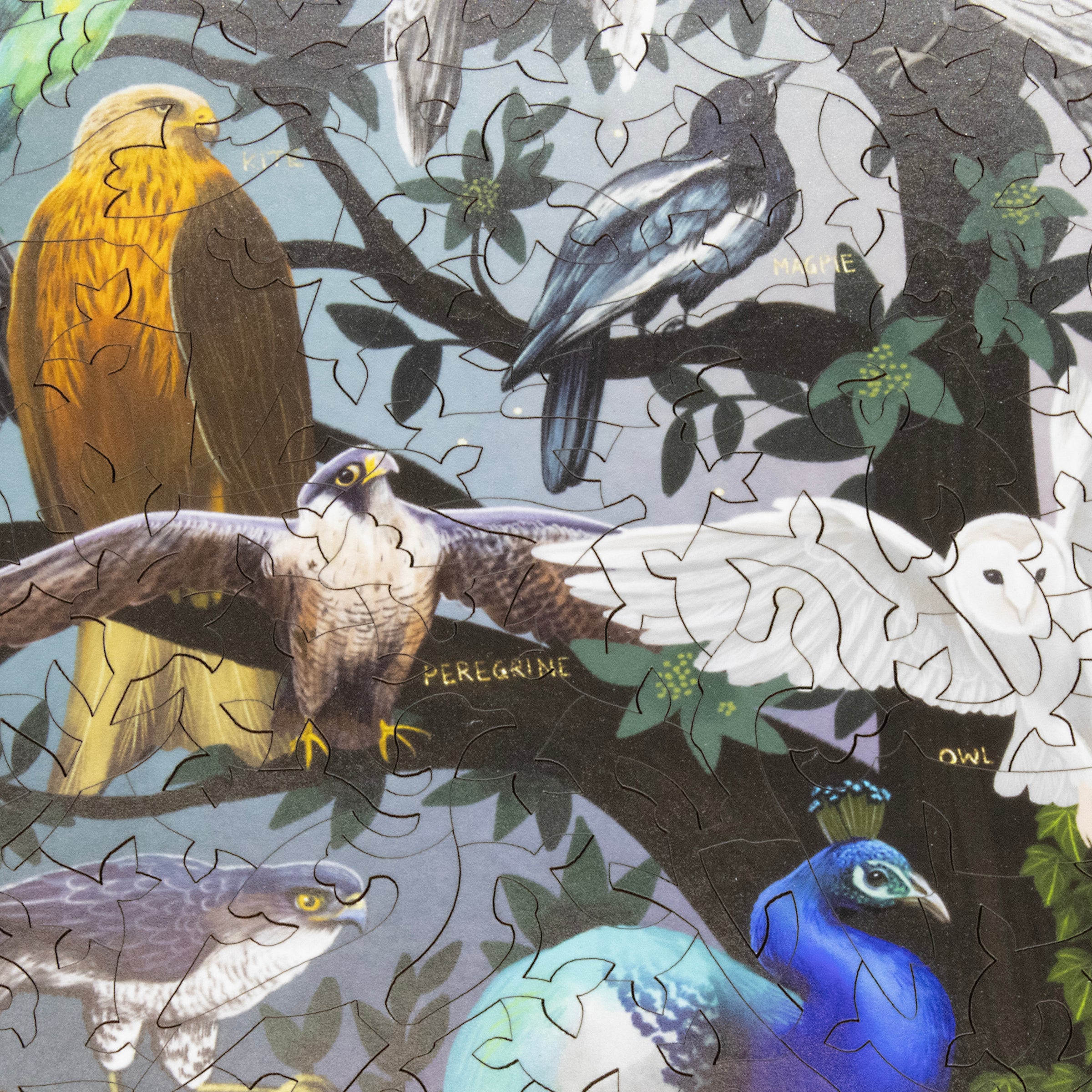 Wooden Puzzles for Adults