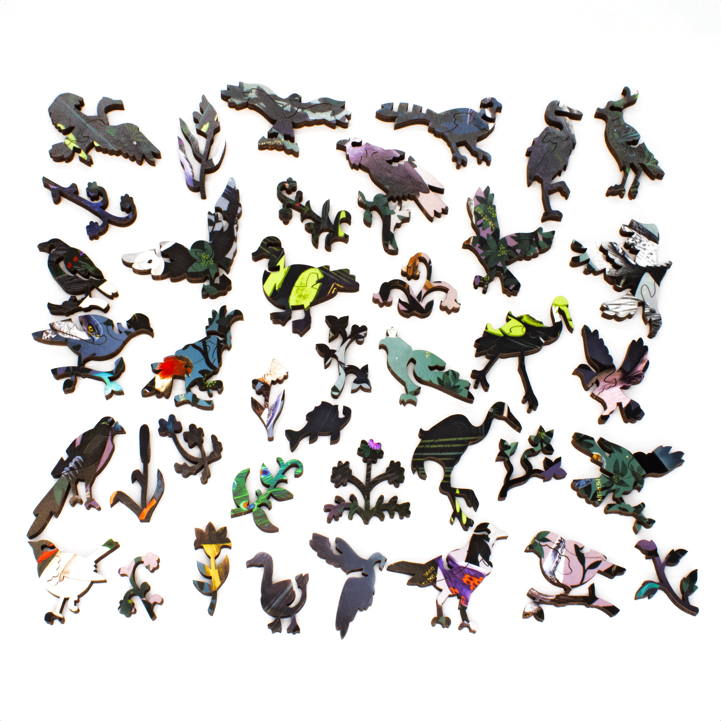 Bird Jigsaw Puzzles