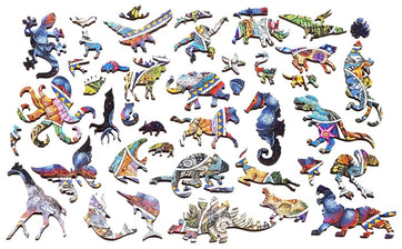 From the Tide Pools to the Stars (503 Piece Wooden Jigsaw Puzzle) - Nautilus Puzzles - Wooden Jigsaw Puzzles For Adults