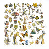 Nautilus Puzzles