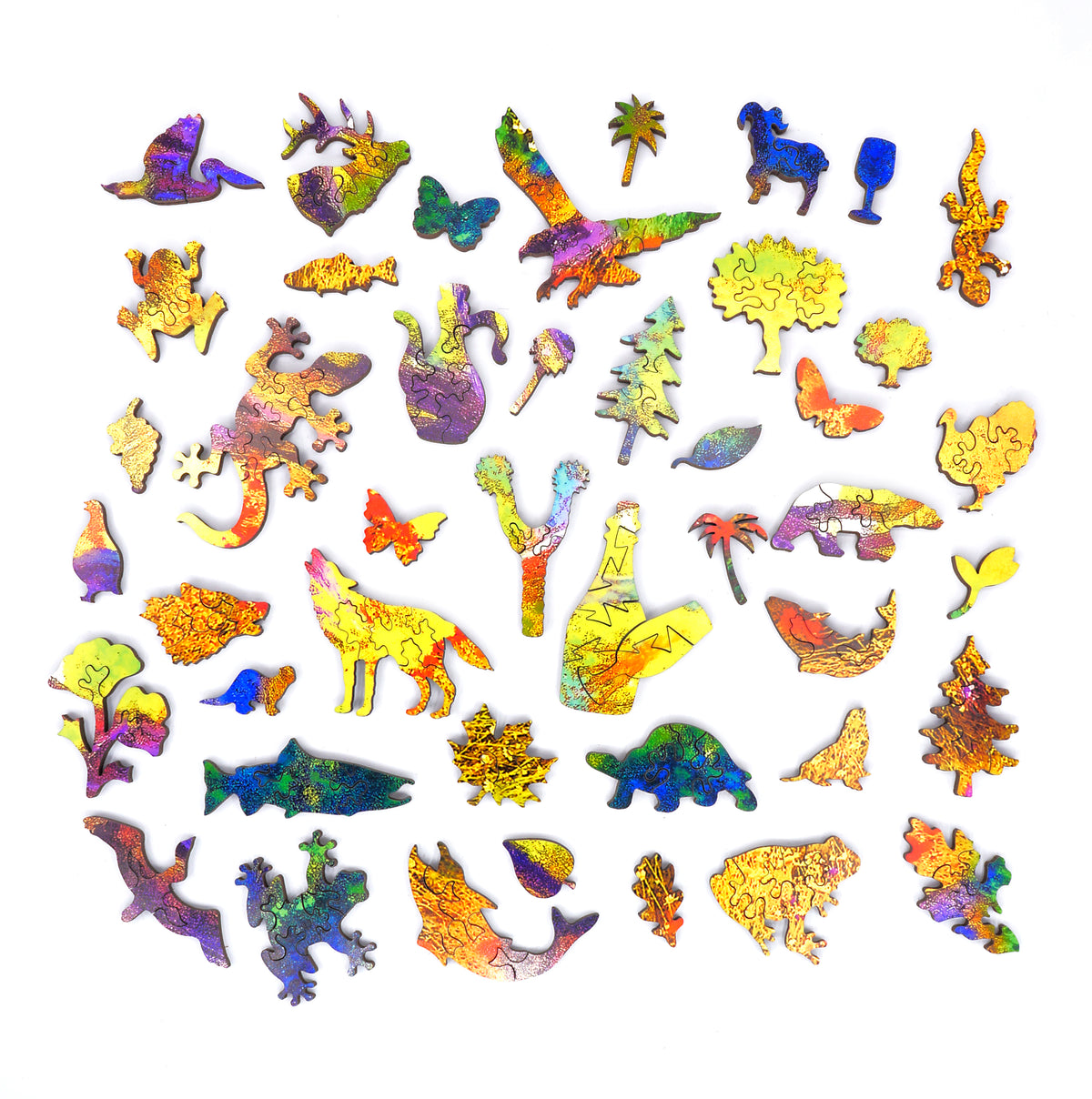 Nautilus Puzzles 