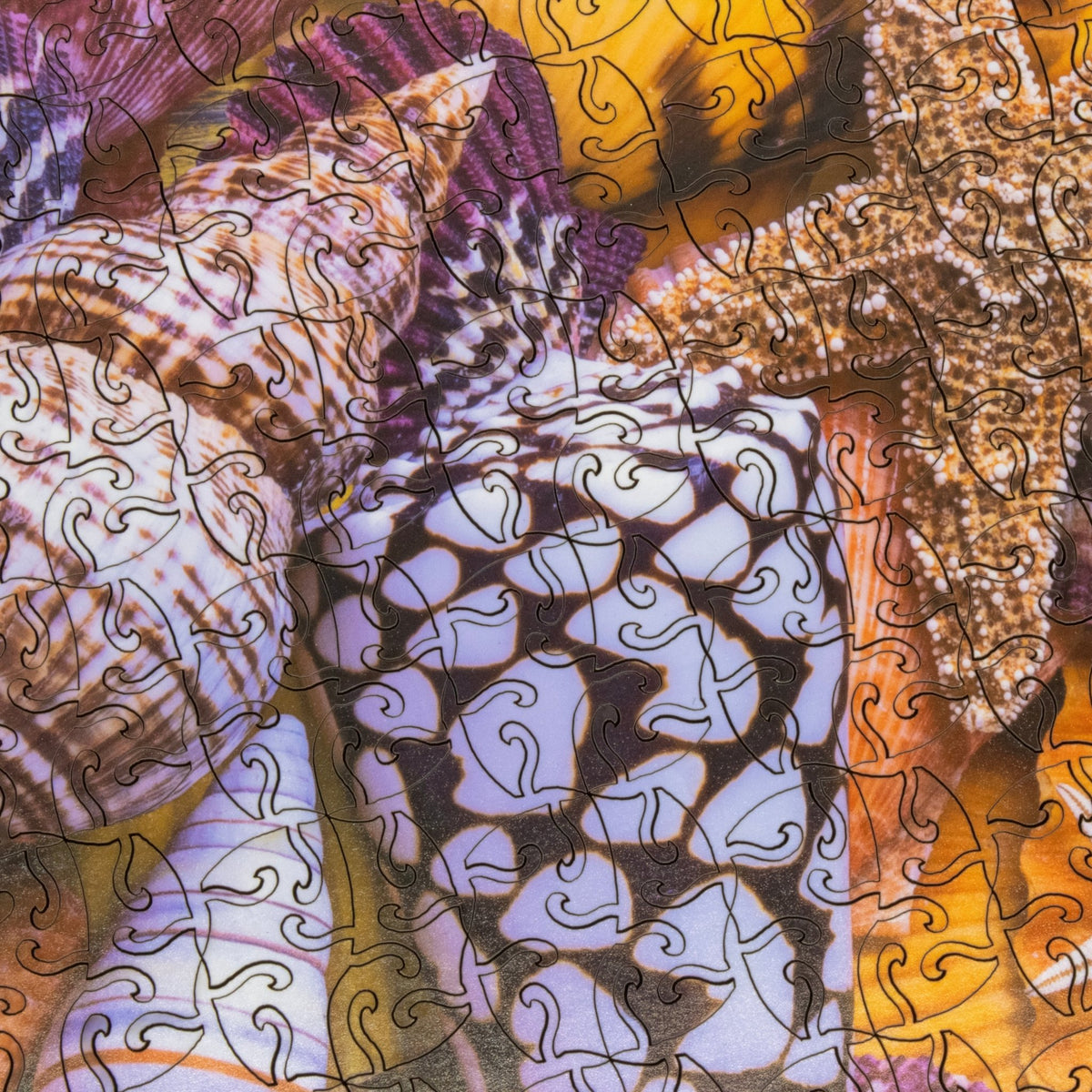 Hard Puzzle: Tidepool Tapestry- 397 Piece Wooden Puzzle - Nautilus Puzzles - Wooden Jigsaw Puzzles For Adults