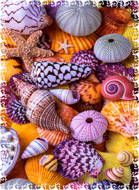 Hard Puzzle: Tidepool Tapestry- 397 Piece Wooden Puzzle - Nautilus Puzzles - Wooden Jigsaw Puzzles For Adults