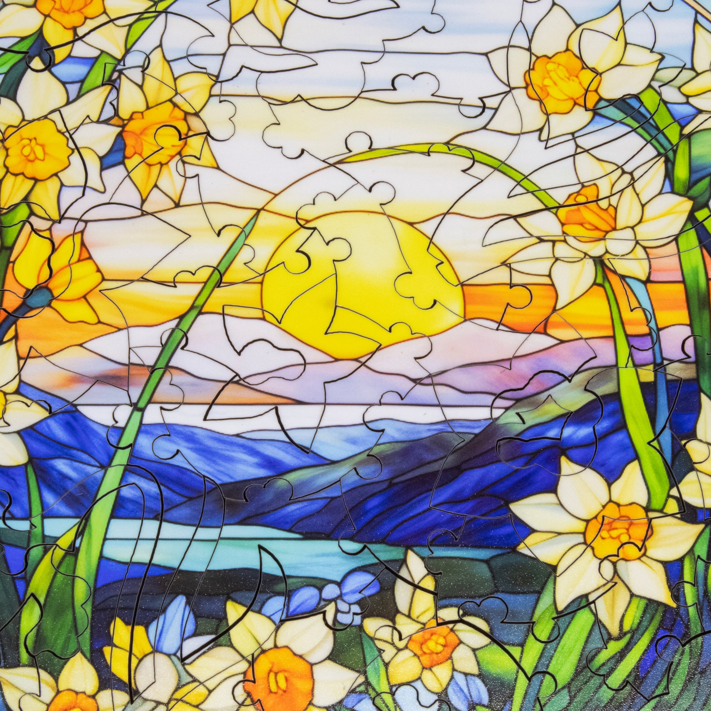 March - Daffodils (50 Piece Round Mini Wooden Jigsaw Puzzle) - Nautilus Puzzles - Wooden Jigsaw Puzzles For Adults